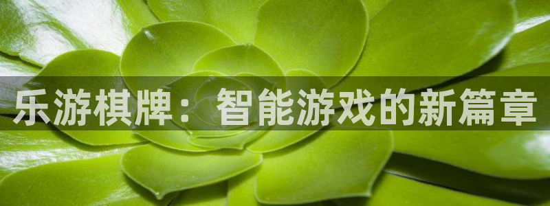 南宫大舞台