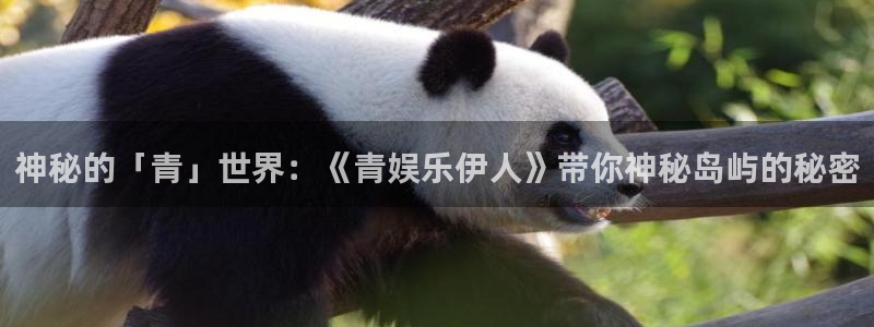 NG大舞台