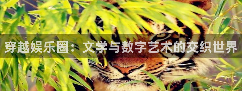 NG大舞台