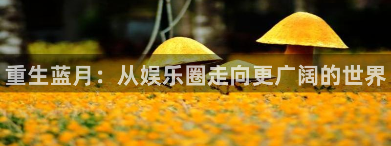 南宫大舞台